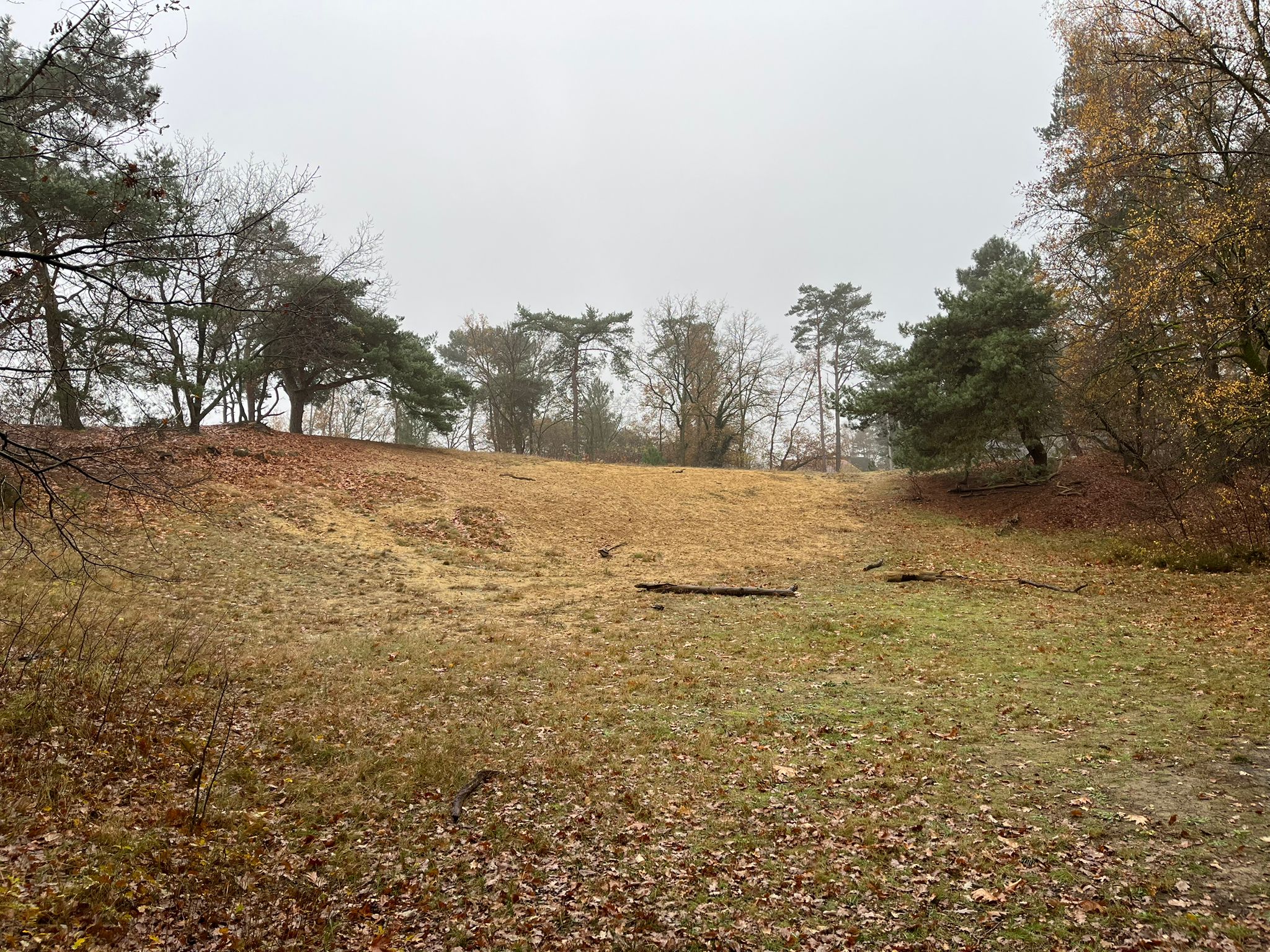 domus dunes bijgebouw